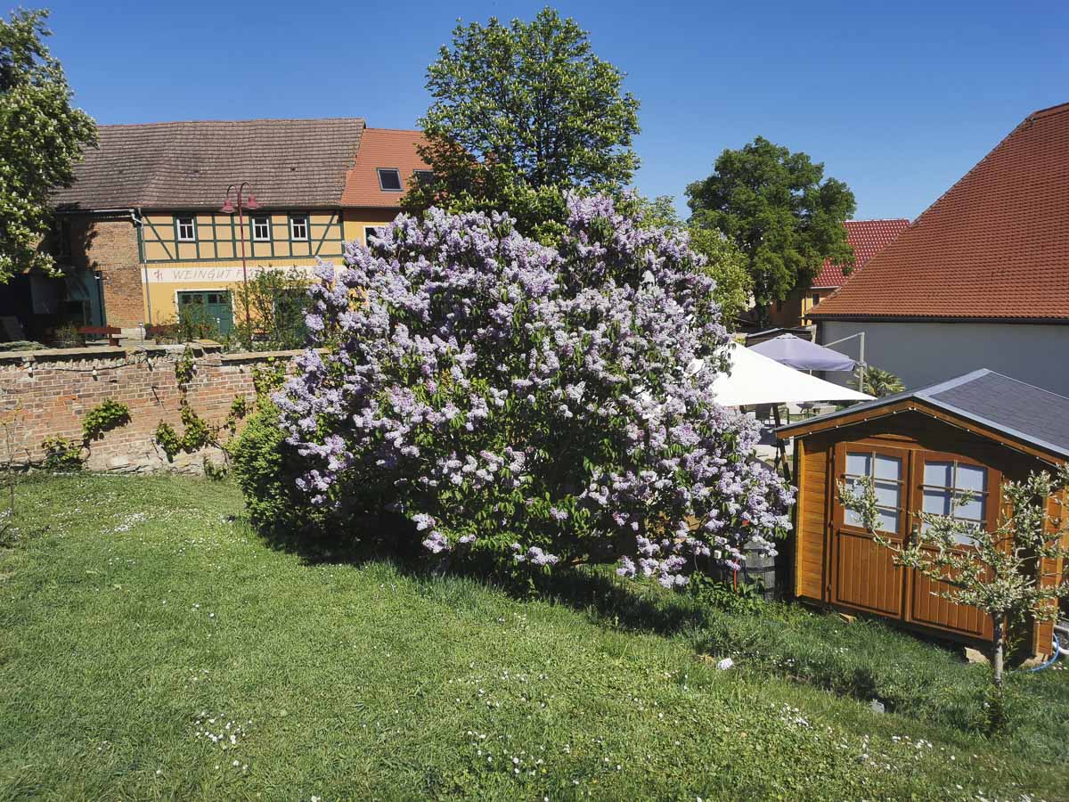 Fotos - Ferienwohnungen im Ferienhaus Schlag im Weindorf Roßbach bei Naumburg im Saale-Unstrut-Weinanbaugebiet